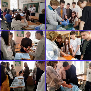 �����������